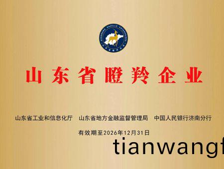 點(dian)擊査(zha)看詳(xiang)細(xì)(xi)信息<br>標(biāo)(biao)題(ti)：山(shan)東(dong)省瞪羚企業(yè)(ye) 閲(yue)讀次數(shù)(shu)：1576